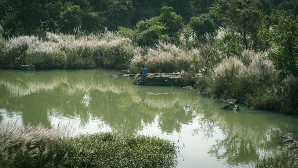 A serene riverside landscape with natural vegetation reflecting in calm waters.