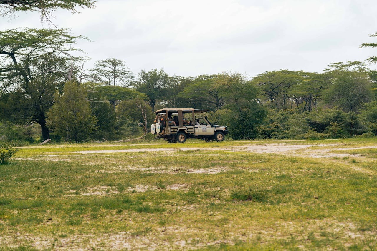 services-06 Safari vehicle exploring a lush, open landscape with acacia trees in the background.
