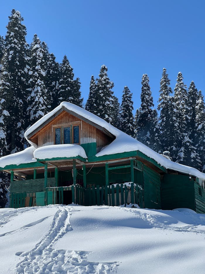 why-choose-us-02 A serene snow-covered cabin surrounded by tall pine trees under a clear blue sky.